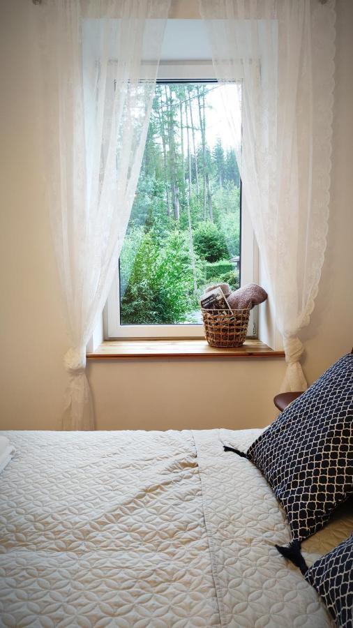 B&D Apartament Chelmiec Apartman Wałbrzych Kültér fotó